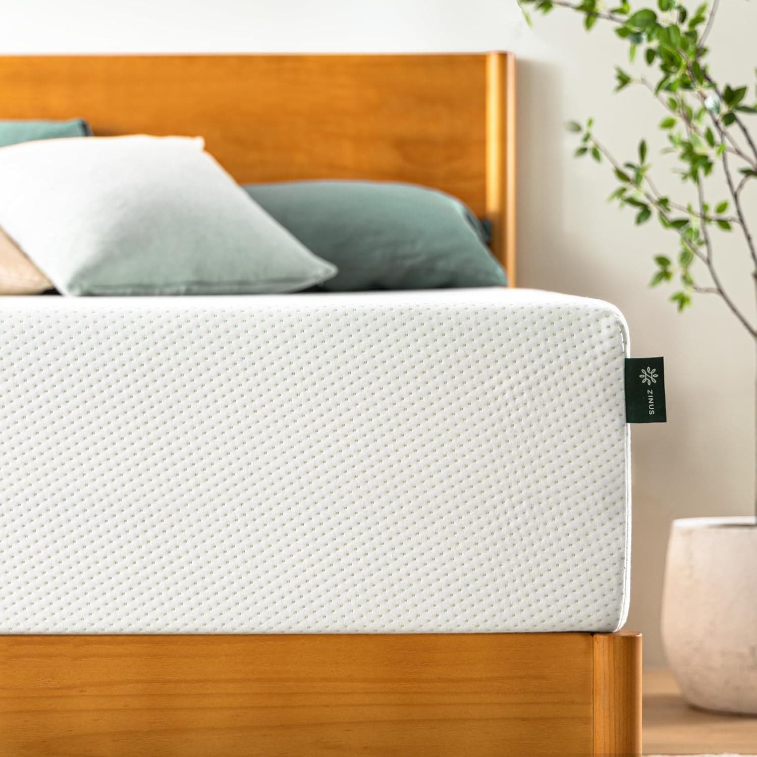 Amazon Coupon Codes & Deals